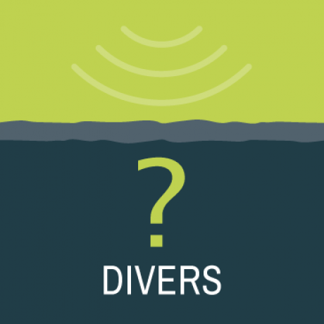 Divers