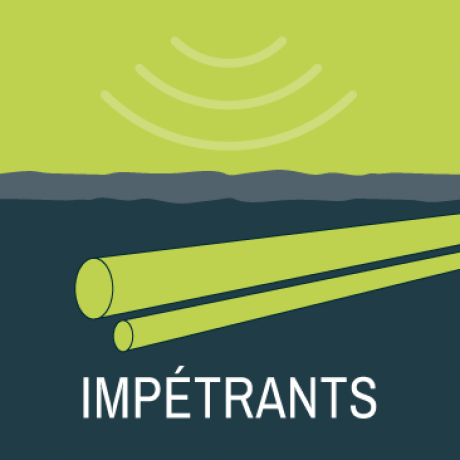 Impetrants