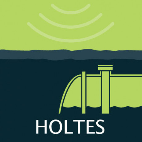 Holtes